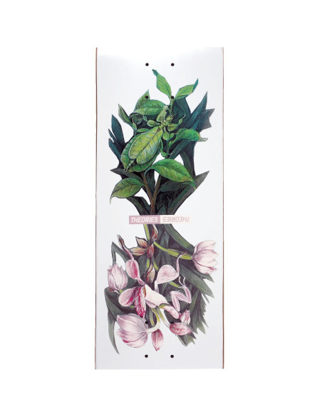 Theories Brand Flora Deck