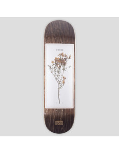 Passport Skateboards...