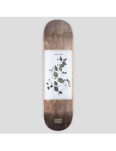 Passport Skateboards...