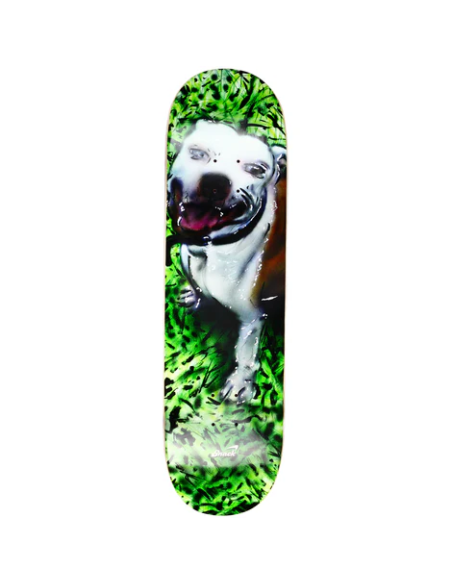 Snack Skateboards Covarrubias Bruce deck