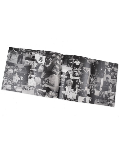 Polar Skate co Everything is Normal Book