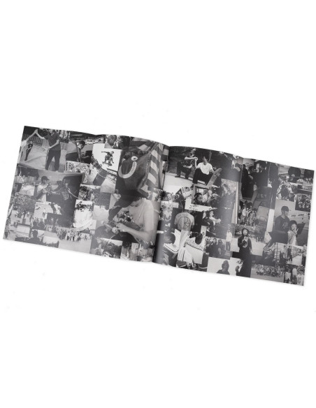 Polar Skate co Everything is Normal Book