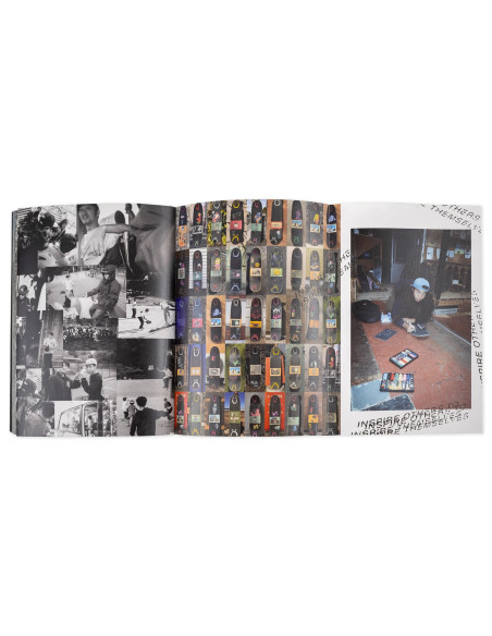 Polar Skate co Everything is Normal Book