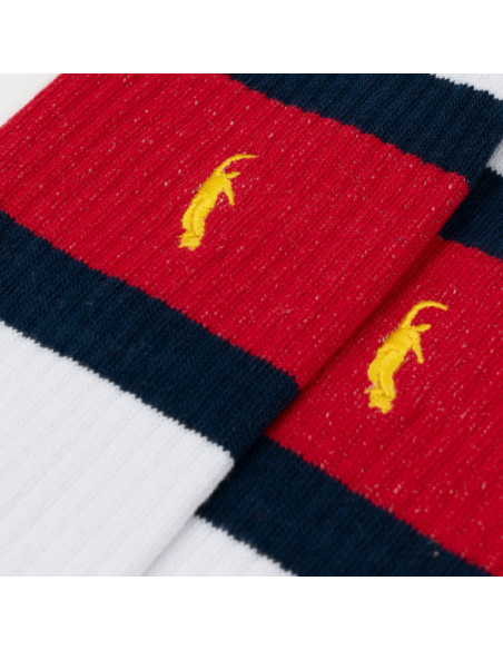 Magenta Skateboards PWS Stripe socks Red