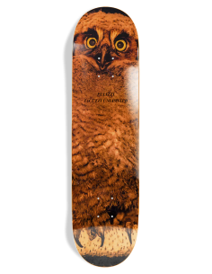 Jacuzzi Michael Pulizzi Hoo...