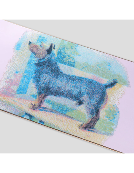 Passport Skateboards Hybrid Vigour Series - Terrier
