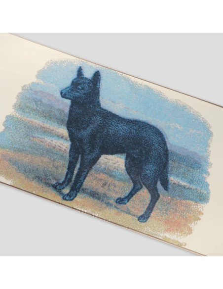 Passport Skateboards Hybrid Vigour Series - Kelpie