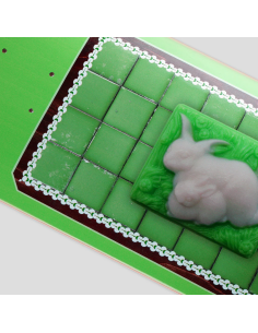 Passport Skateboards Soap... 2