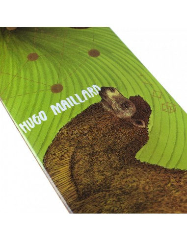 Magenta Skateboards Camel Zoo Maillard