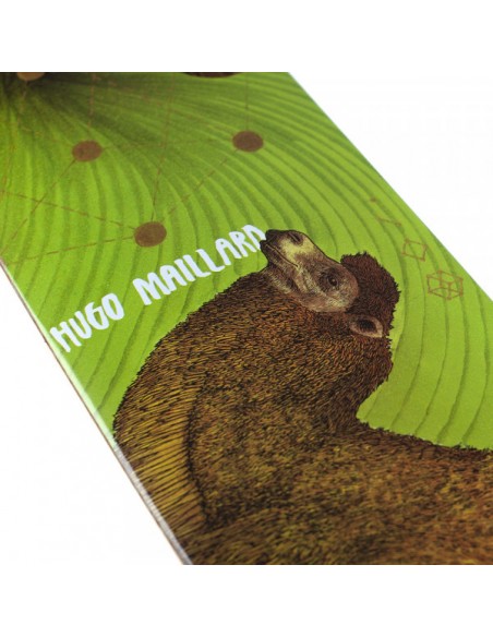 Magenta Skateboards Camel Zoo Maillard
